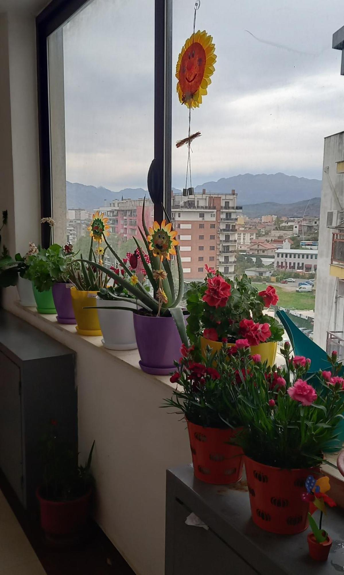 Panoramic Apartment Shkodër Exteriör bild